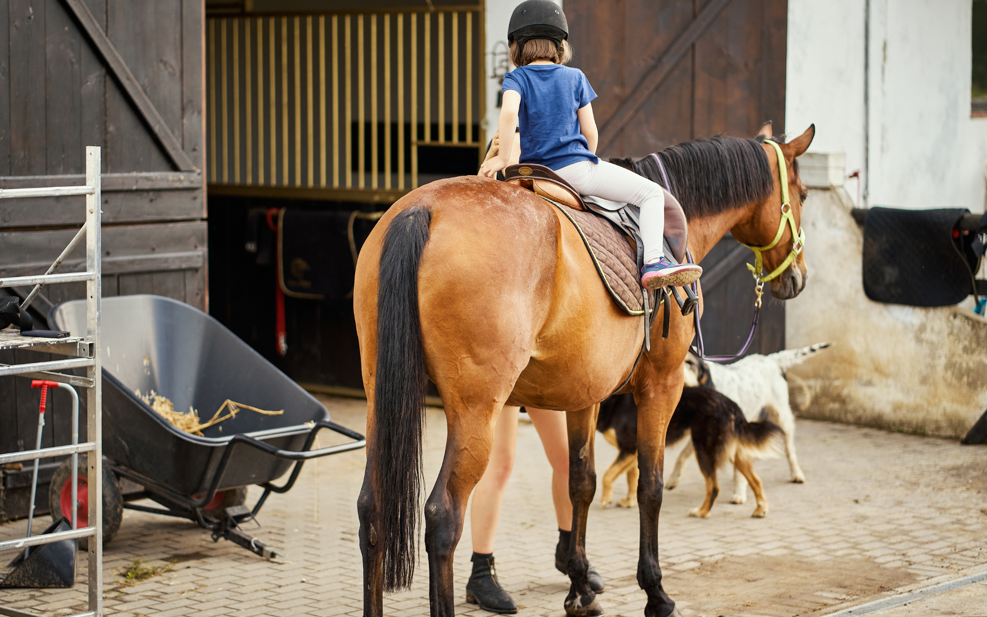 girl riding a horse into the stables