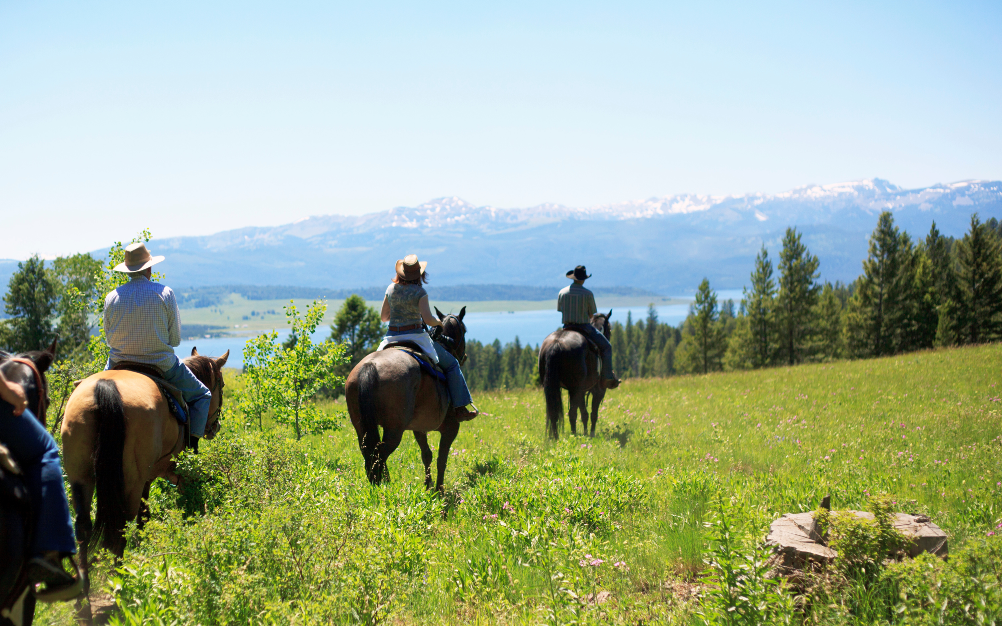 Horseback riding in the Rockies with the YMCA