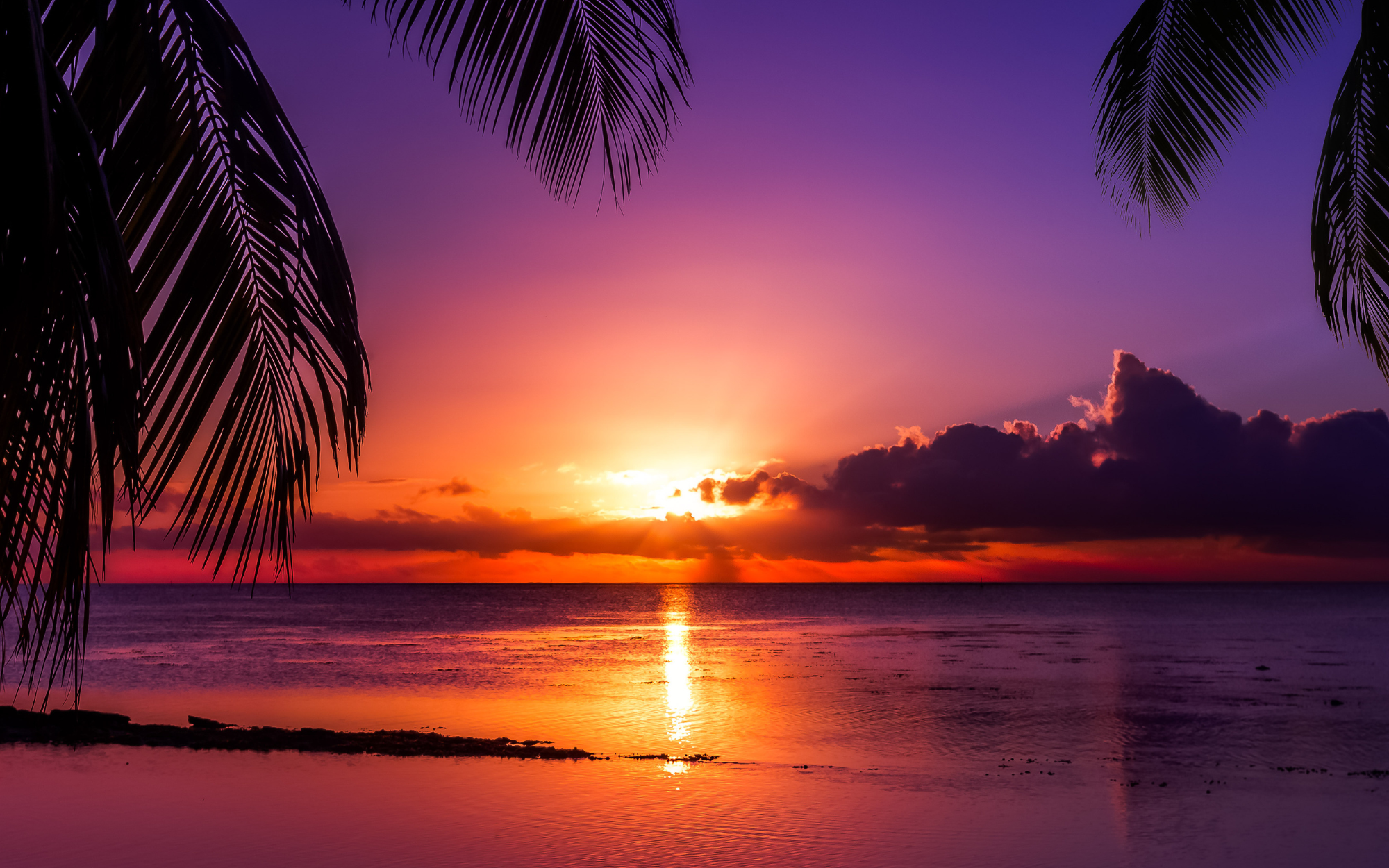 Sunset on the beach