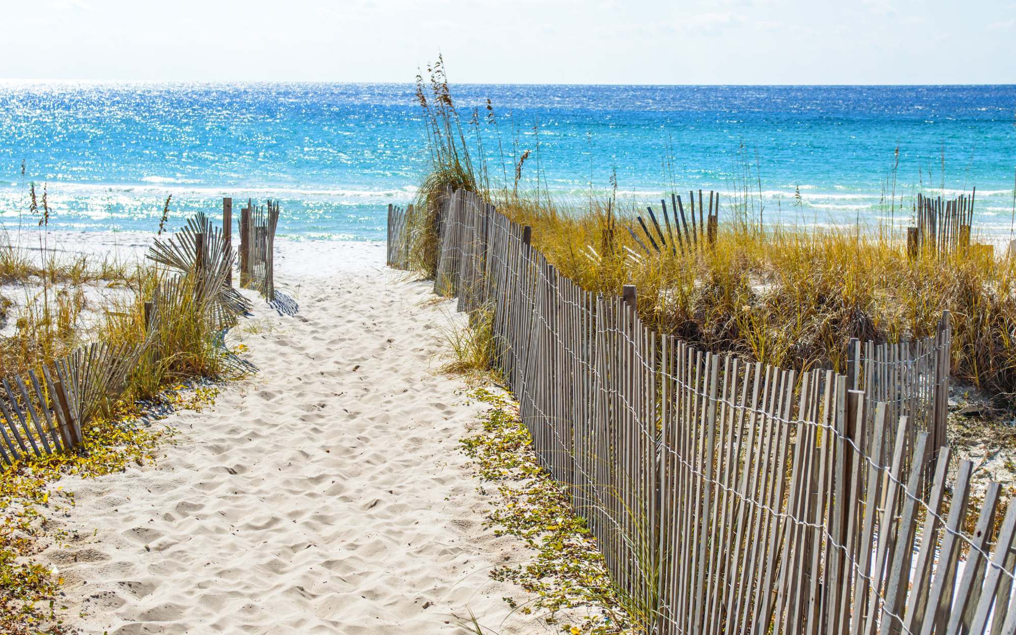 Pathway to the beach on a bright sunny day