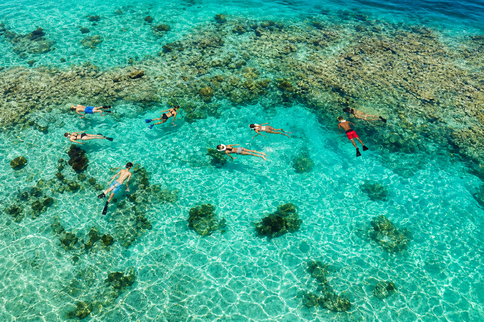 Snorkeling of the beach at Fort Zachary Taylor State Park