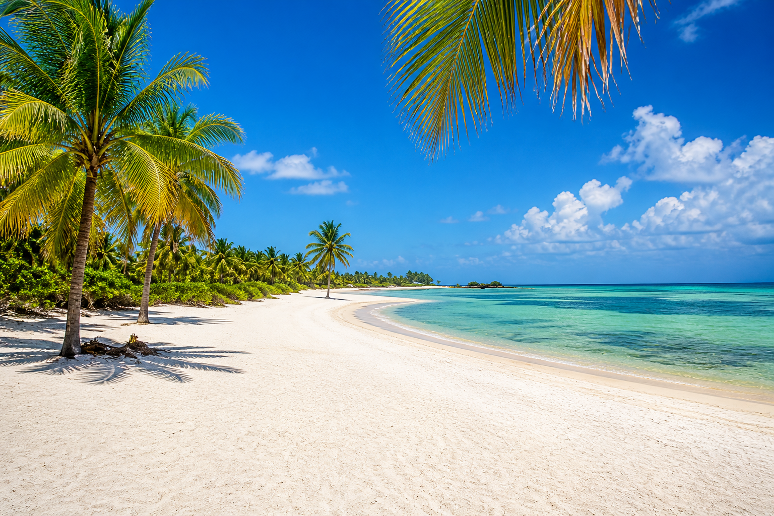 Beach in the Florida Keys