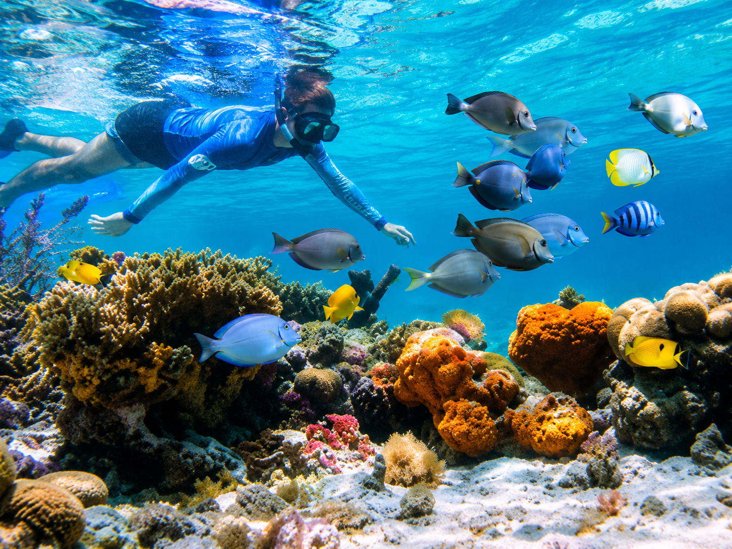 Man Snorkeling shallow water reef in the Florida Keys.