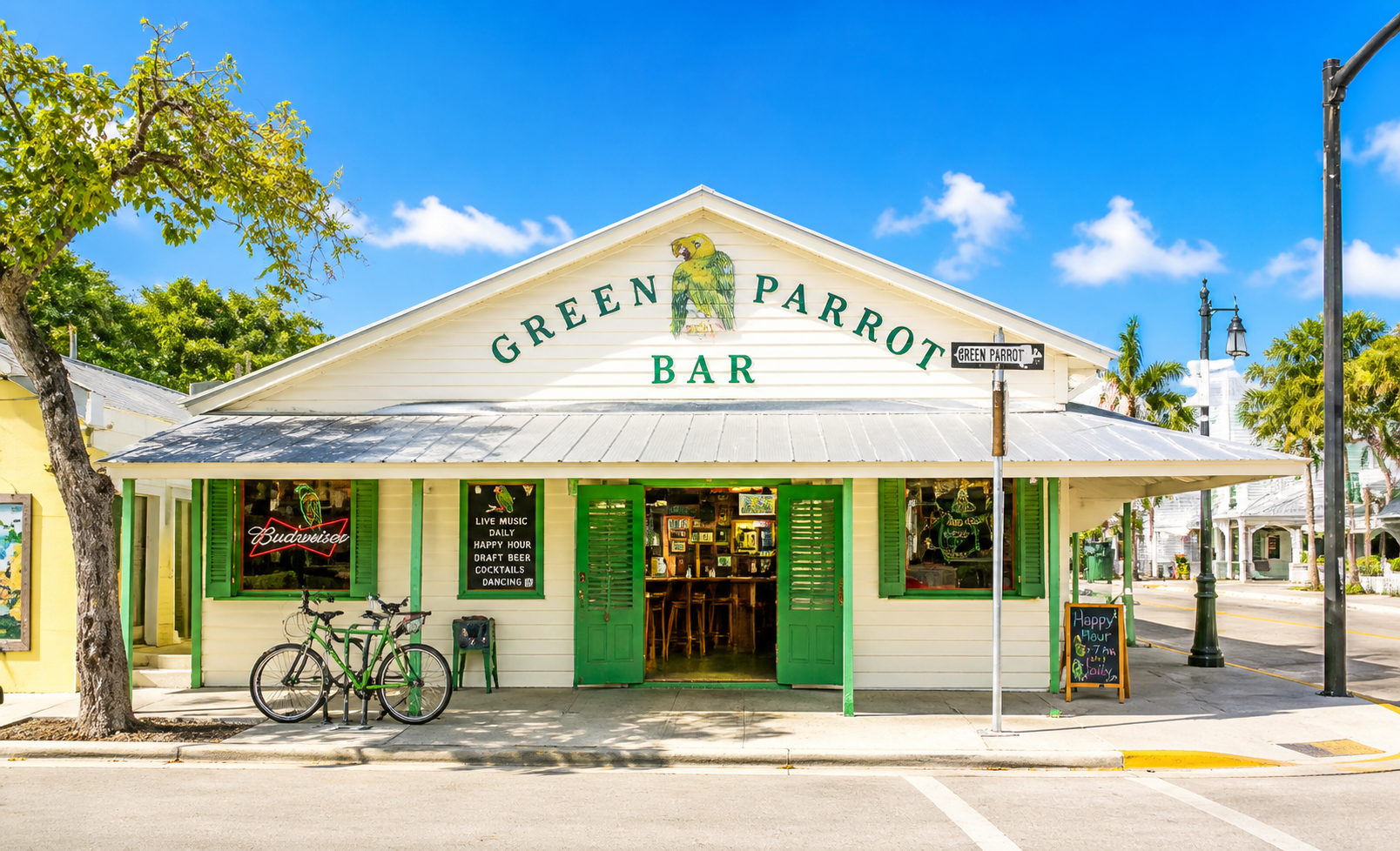 Green Parrot in Key West