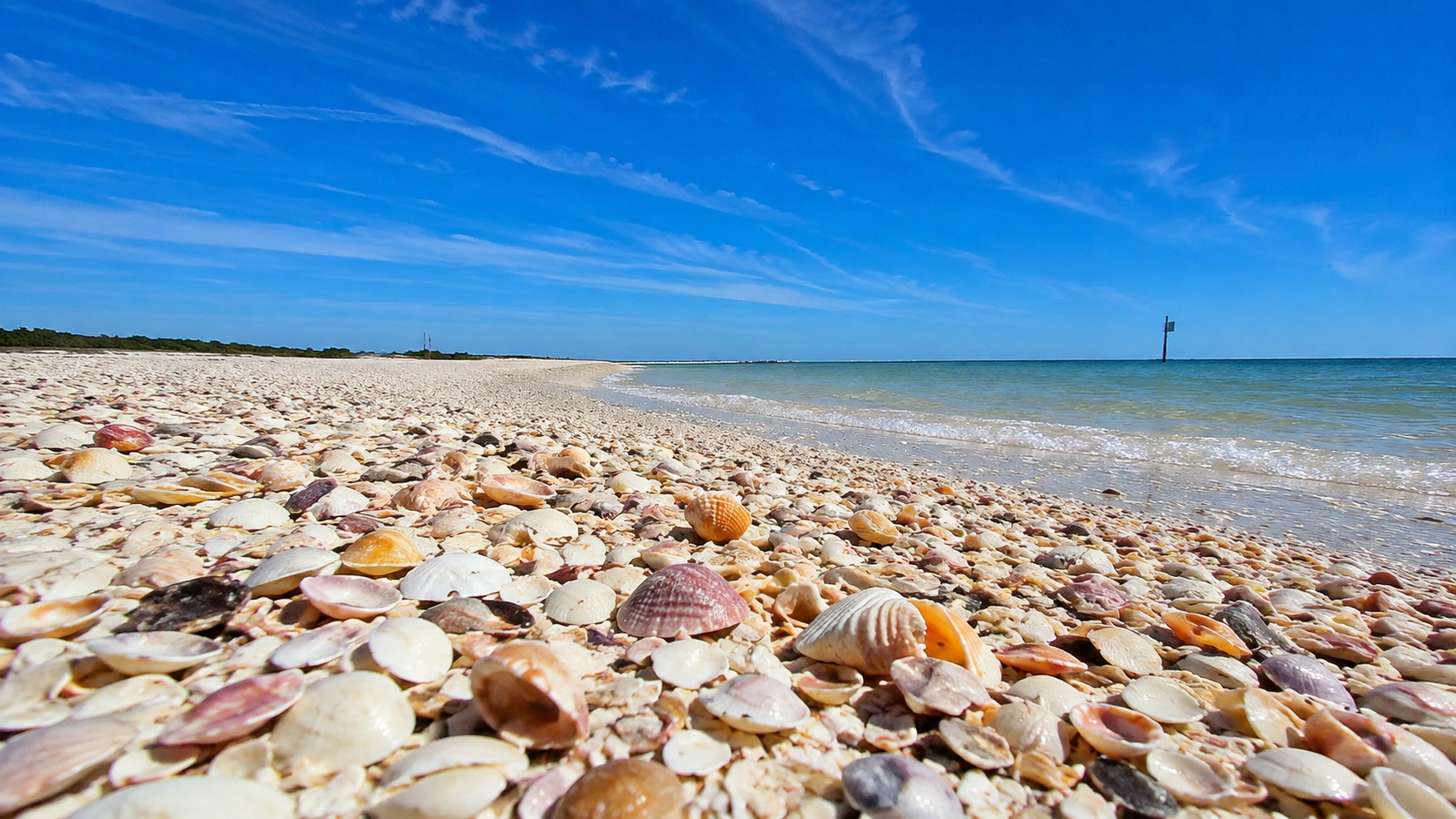 Shell Island near St Pete Beach