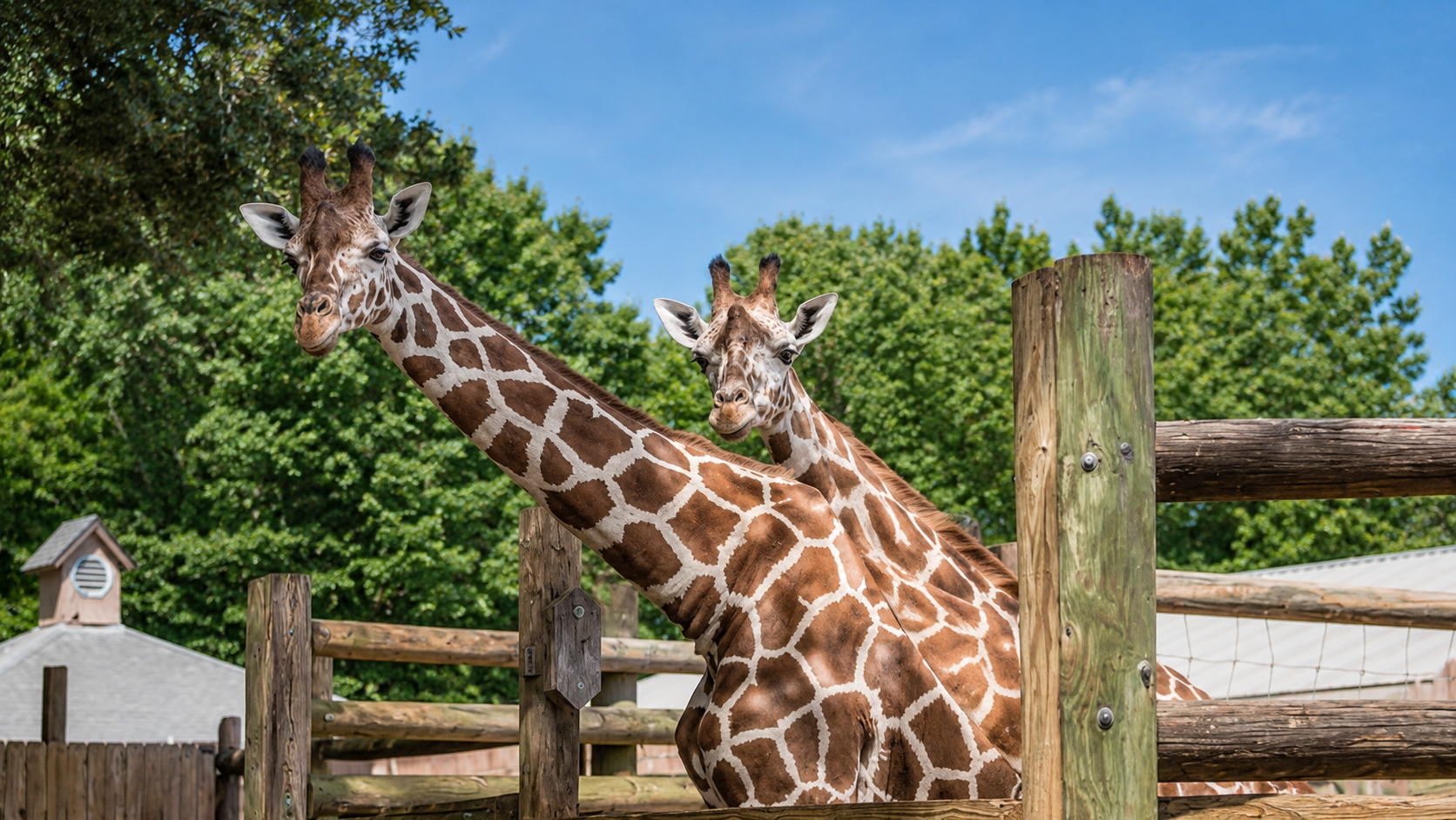 Gulf Breeze Zoo in Destin Florida