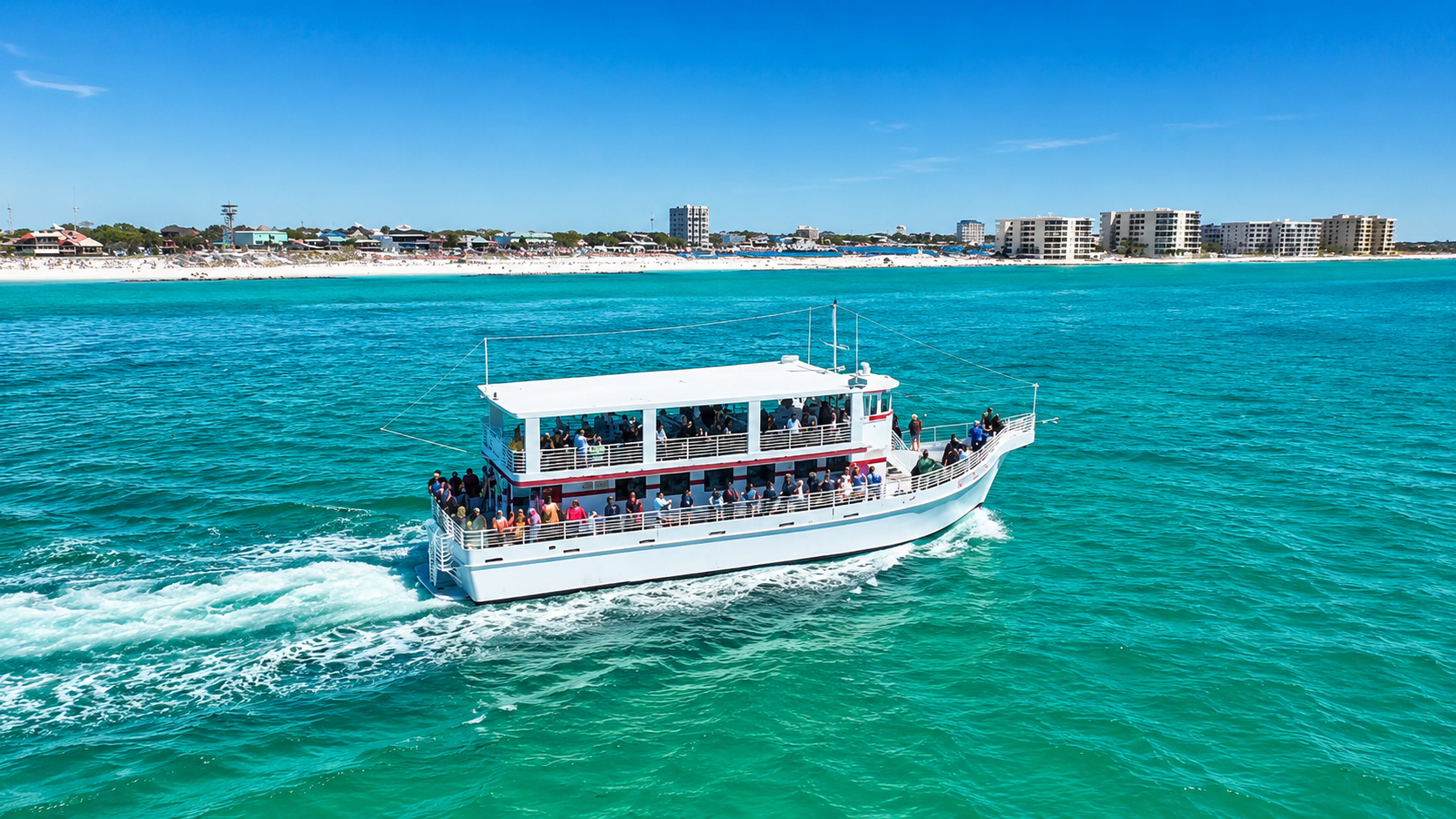 Tour boat searching for dolphins