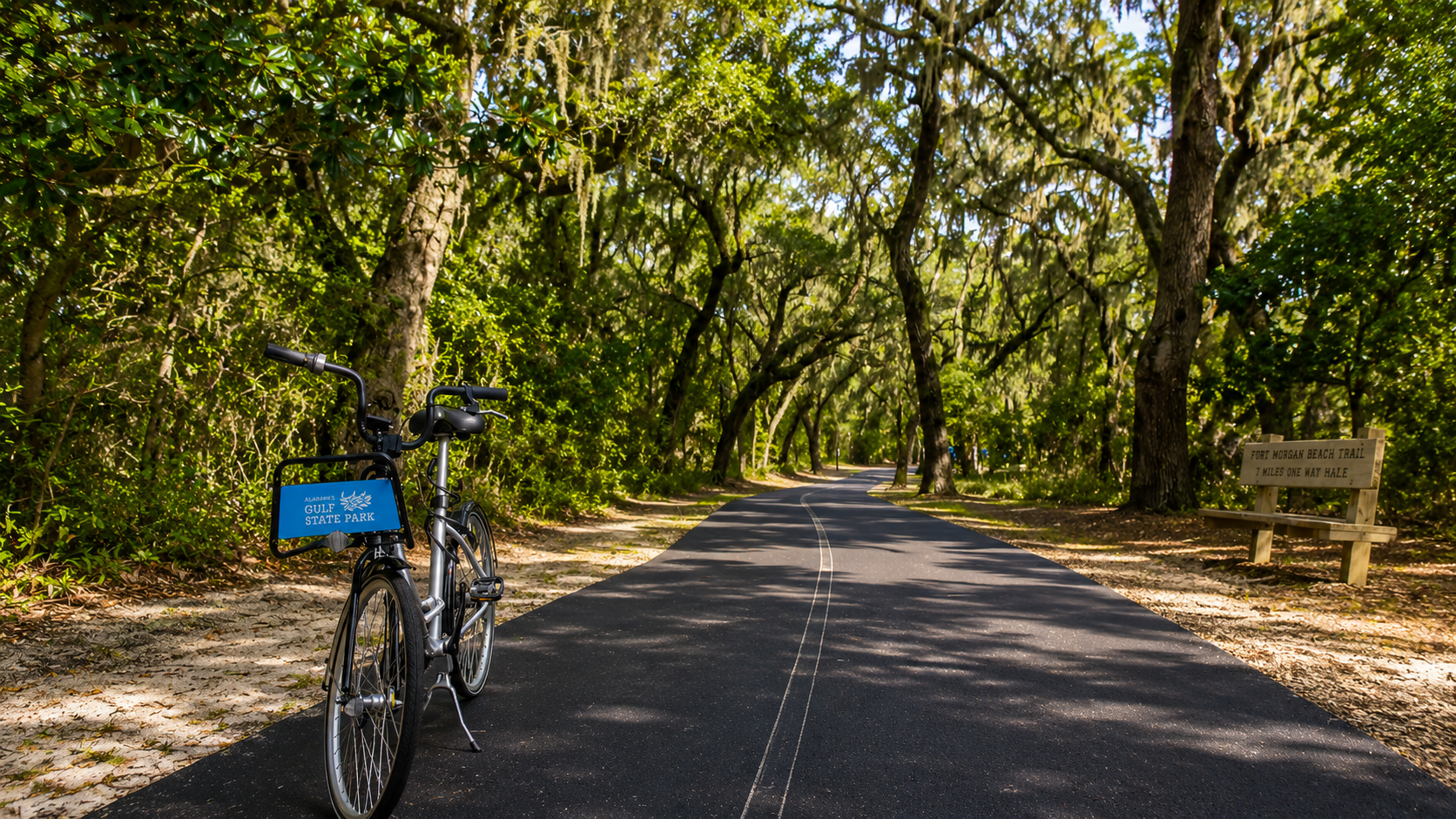 Resort rental bike on a natural trial