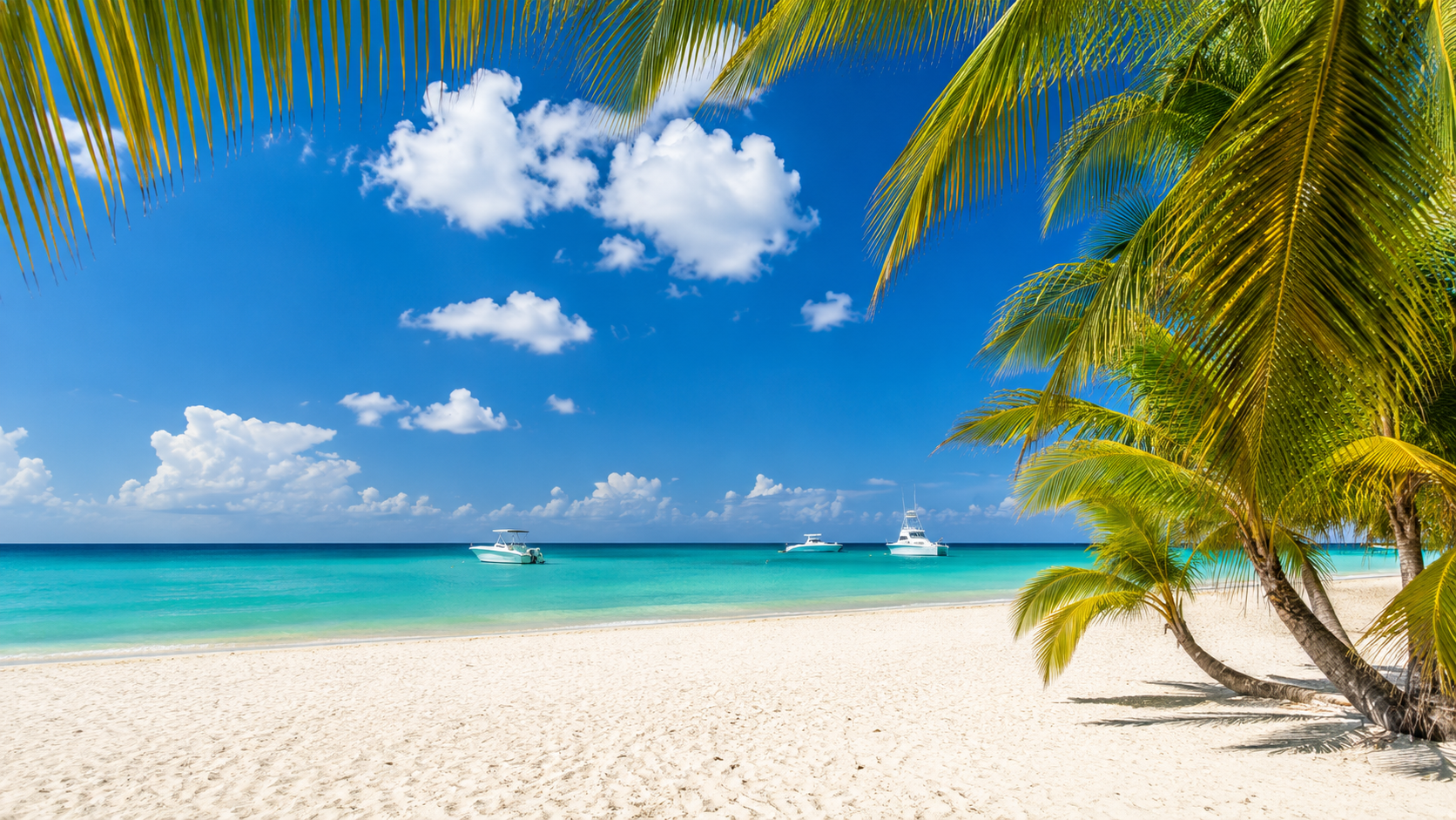 Prestine white sand beach in Grand Bahama