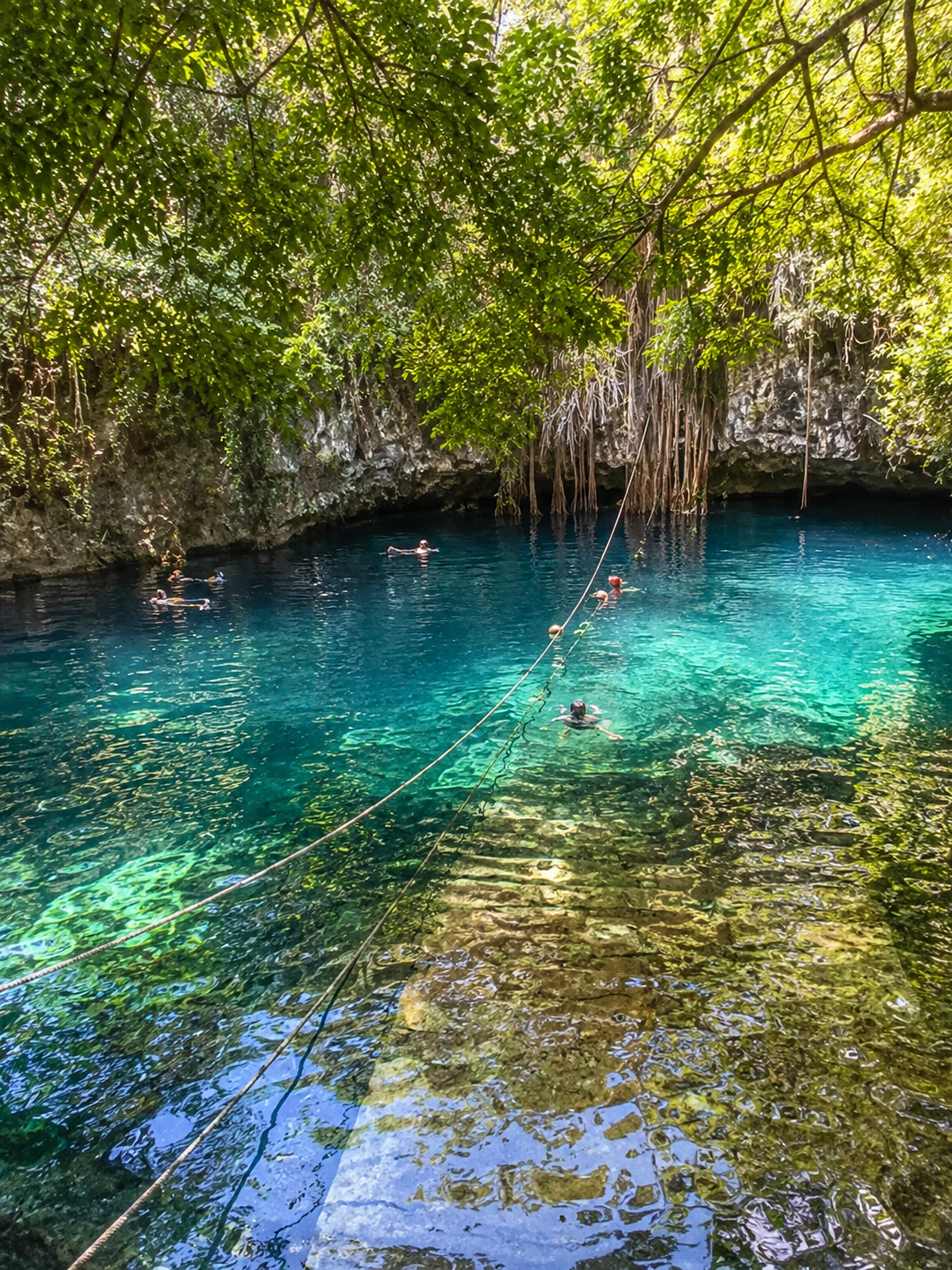 Ruta de los Cenotes