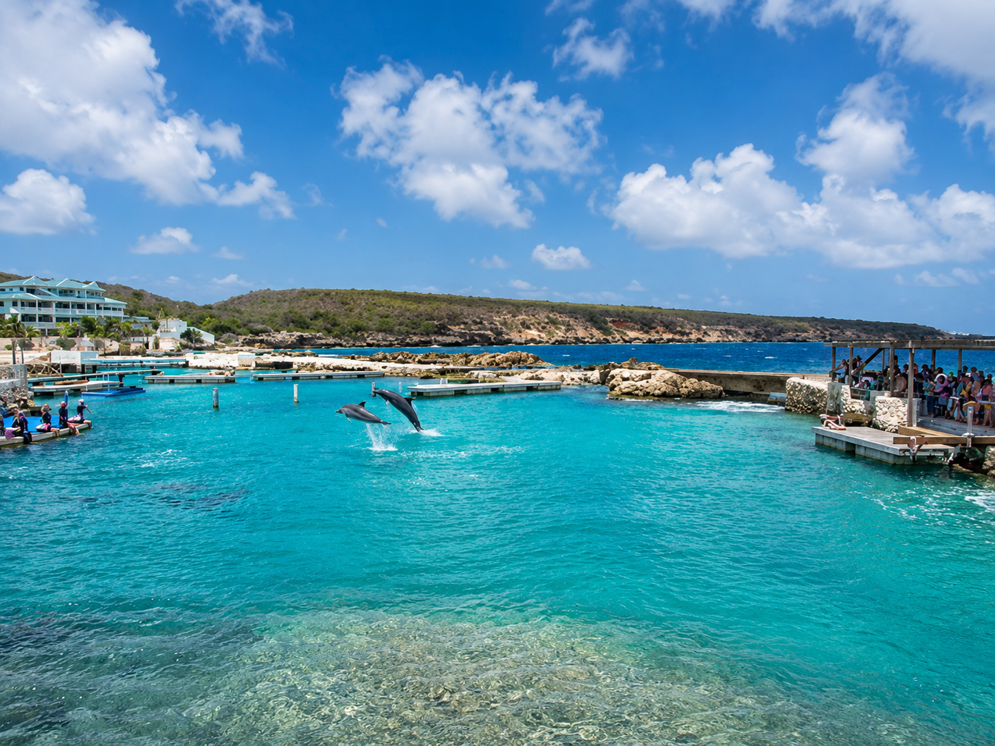 Curaçao Sea Aquarium
