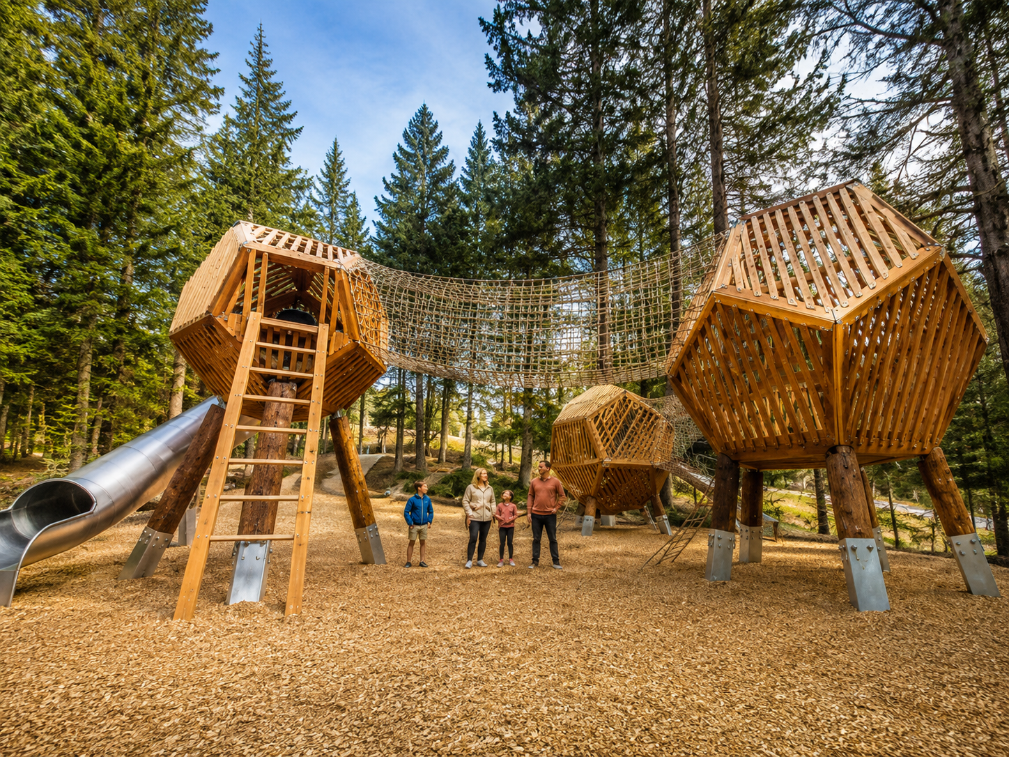 Wild Woods Playground