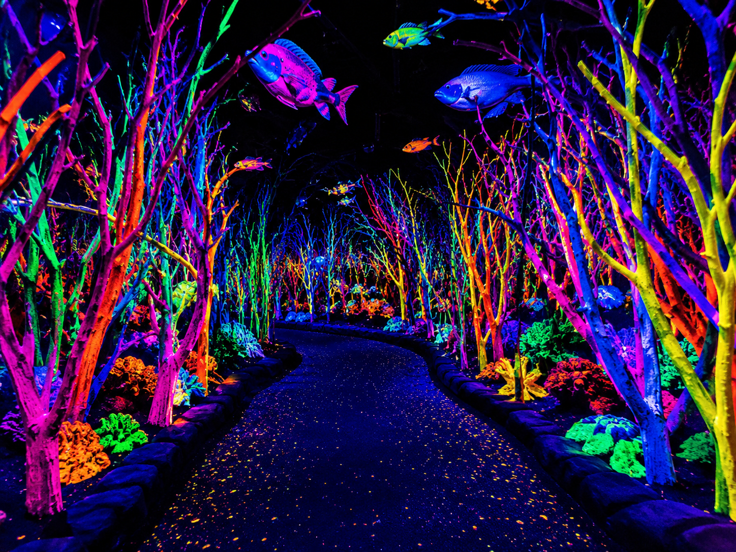 Meow Wolf: House of Eternal Return