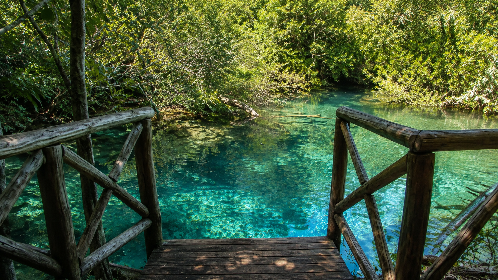 indigenous eyes ecological reserve