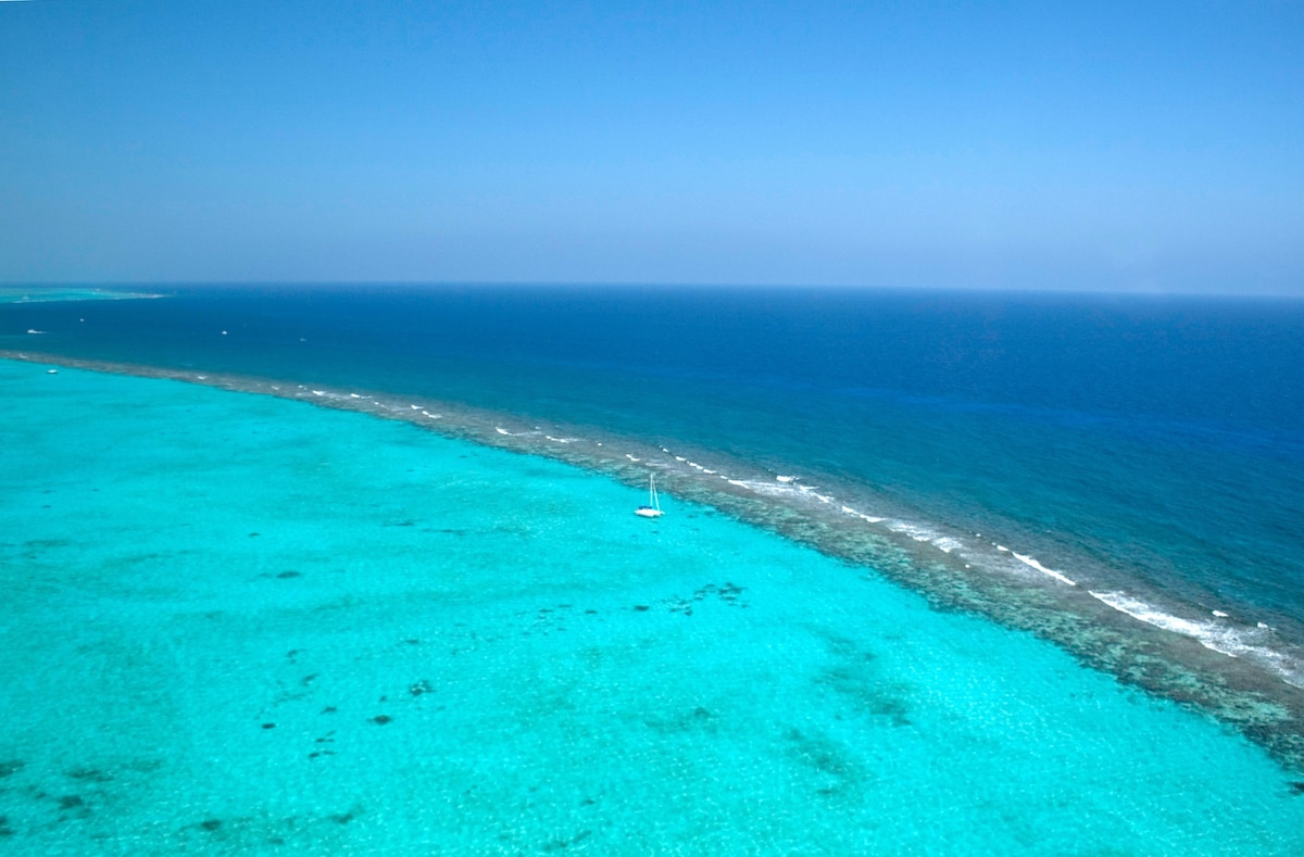 Beautiful reef of the coast of Grand Cayman