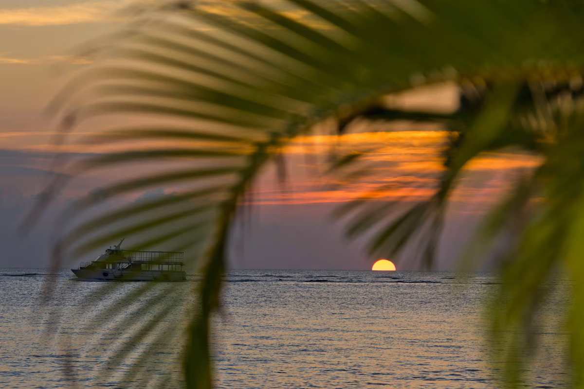 Enjoy sunsets on the beach