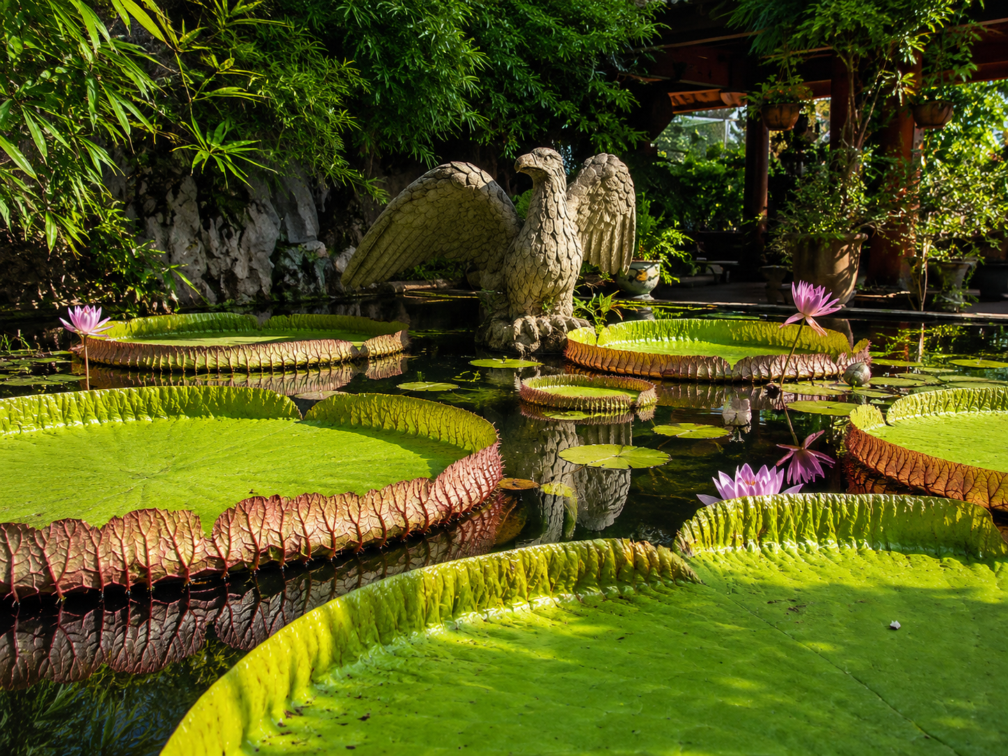 Visit Vallarta Botanical Garden