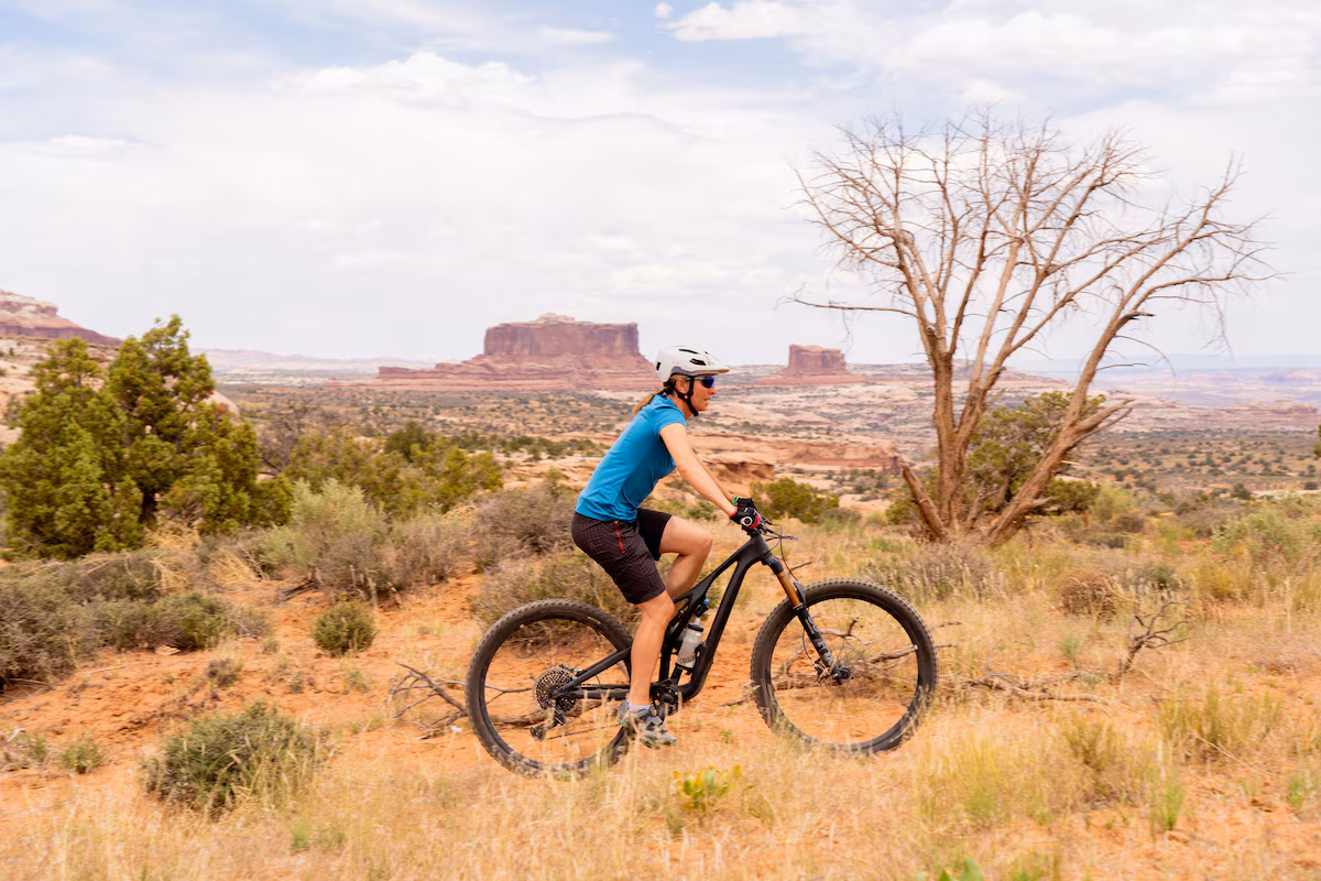 Bike paths for miles