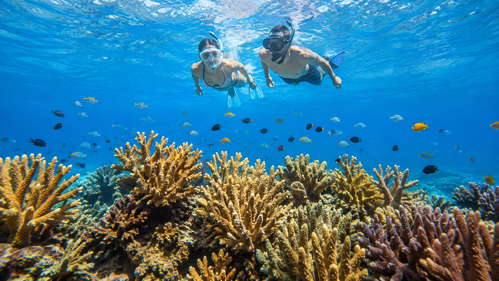 Snorkel Biscayne National Park