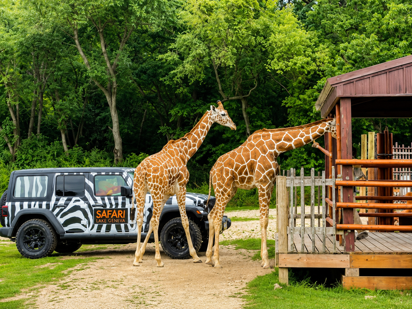 Get in touch with your wild side at Safari Lake Geneva