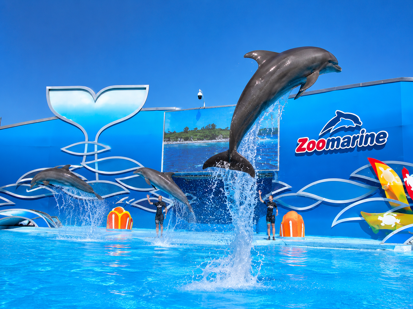 Get up close with dolphins at Zoomarine Algarve