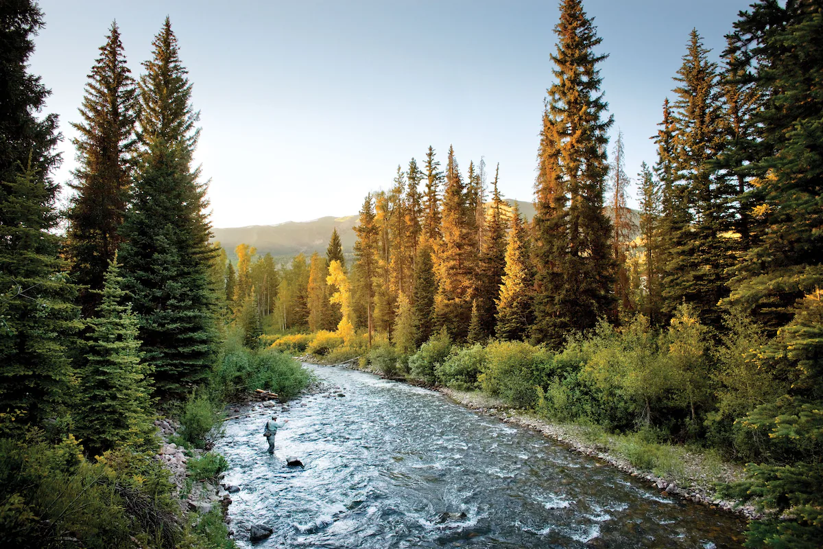 Try your luck fly fishing