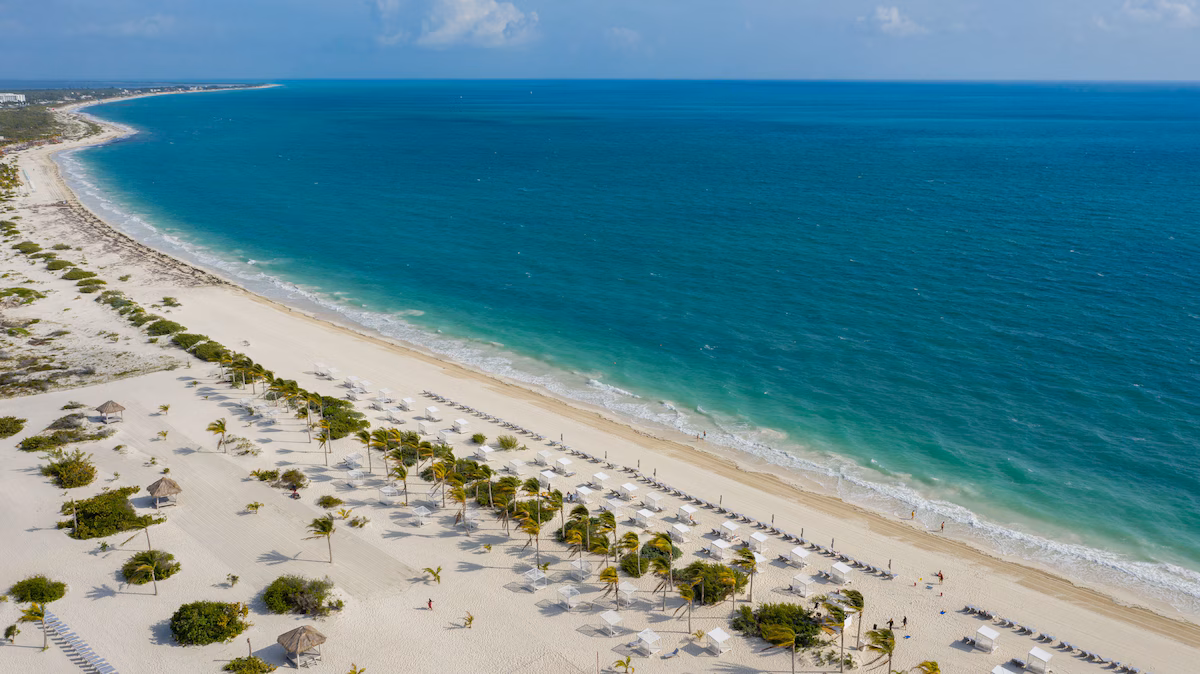 Right on the beach