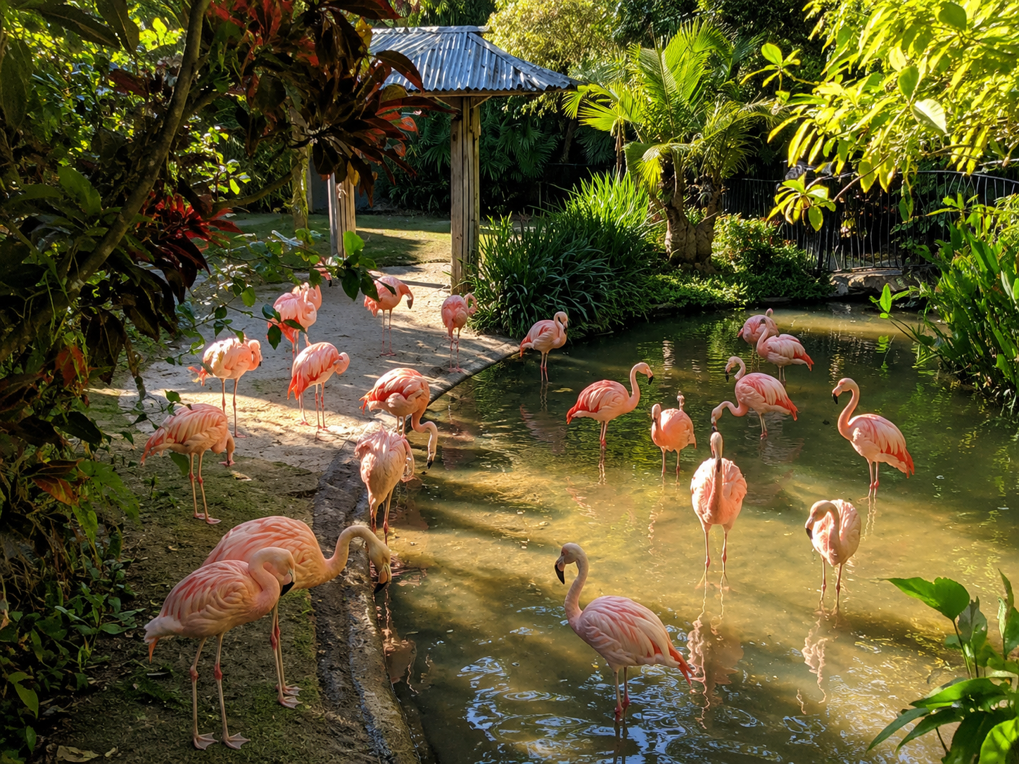 Visit a sink hole turned garden at Sunken Gardens