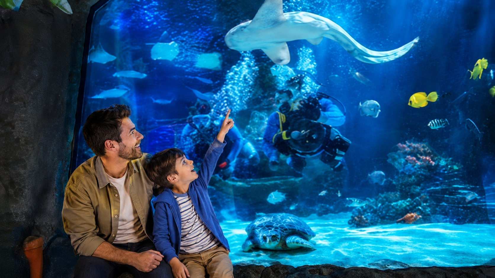 SEA LIFE Aquarium (inside mall of America)