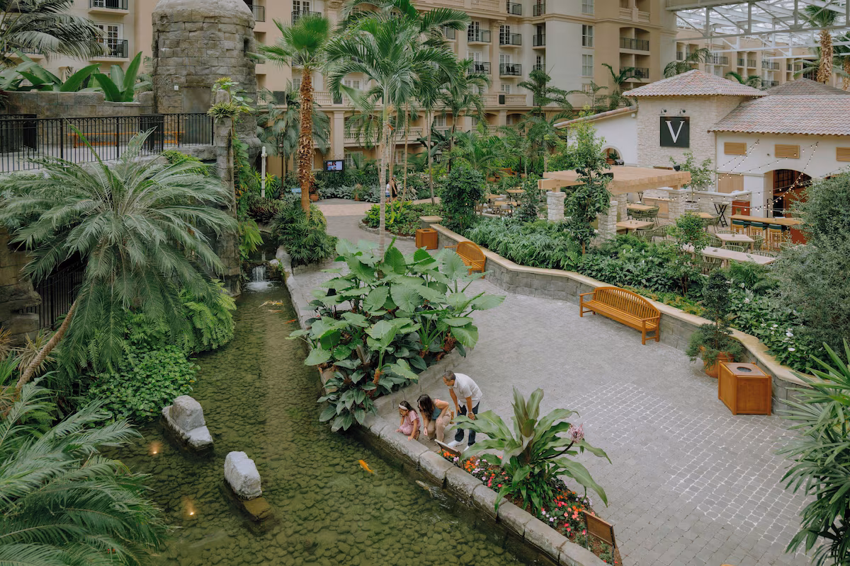 Enjoy nature inside the resort