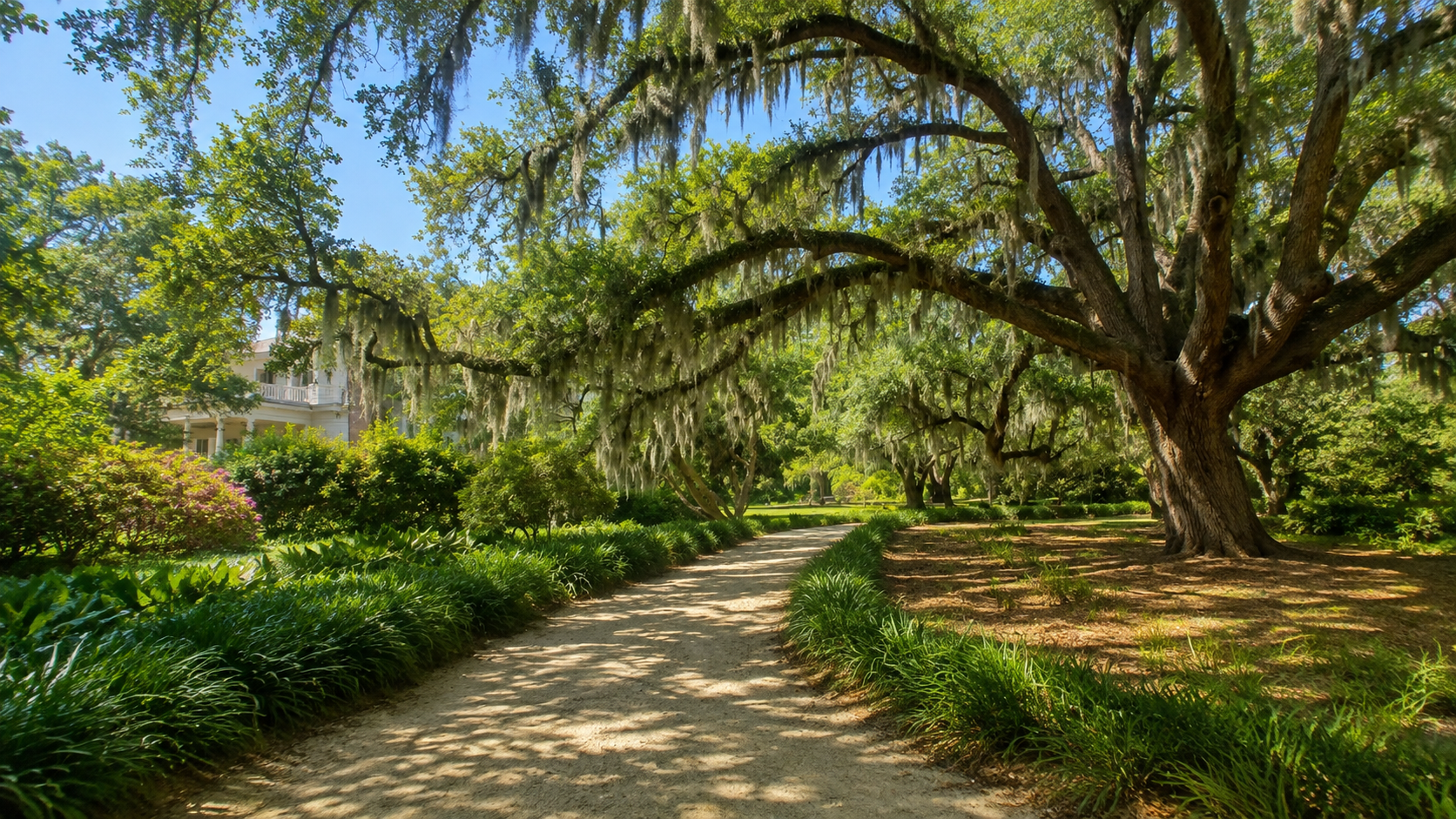 coastal discovery museum