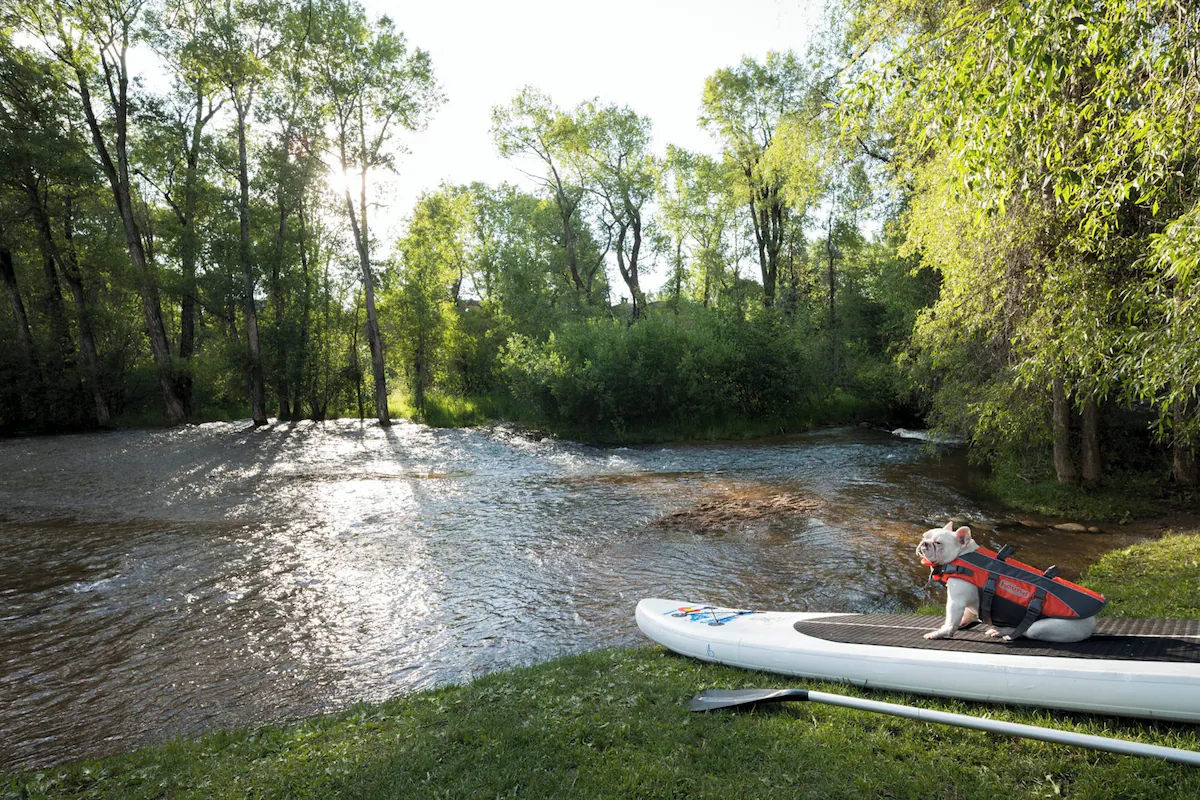 Enjoy near by water activities