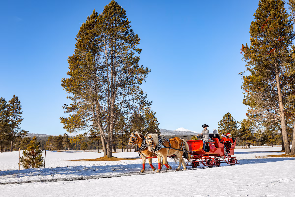 Take a peaceful sleigh ride