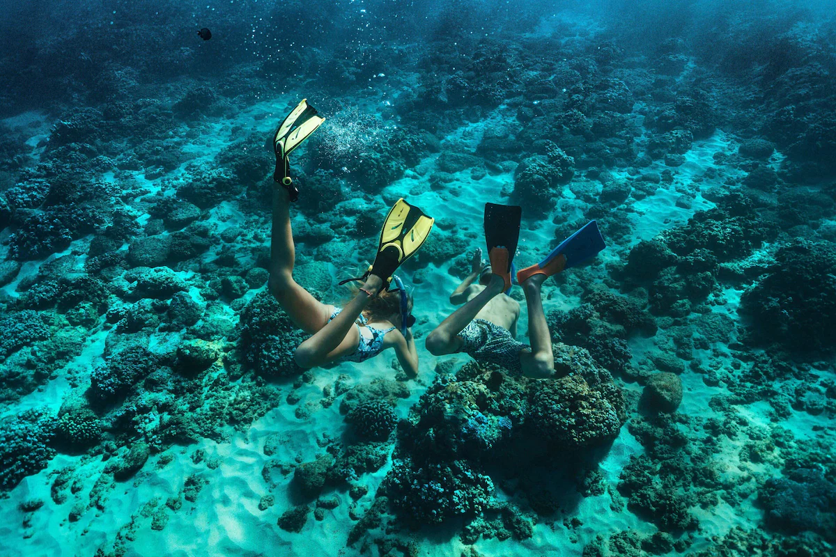 snorkeling tours