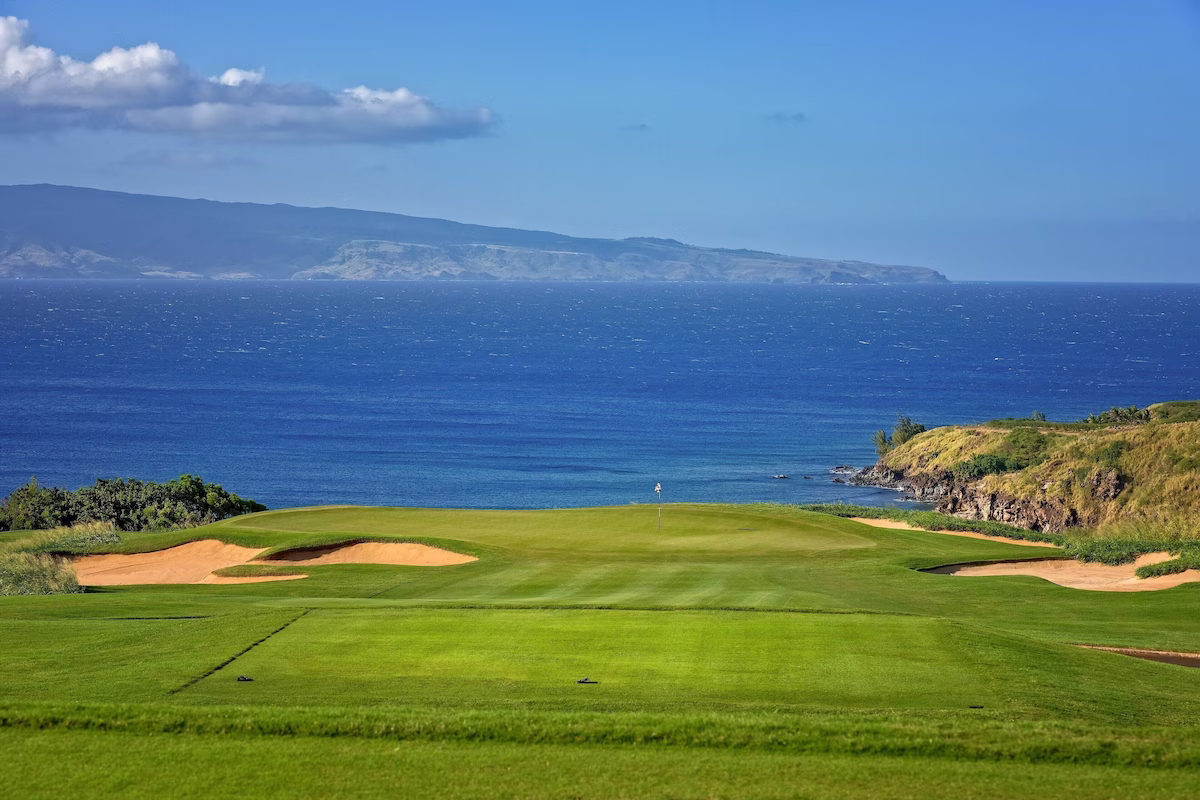 Amazing tee shots