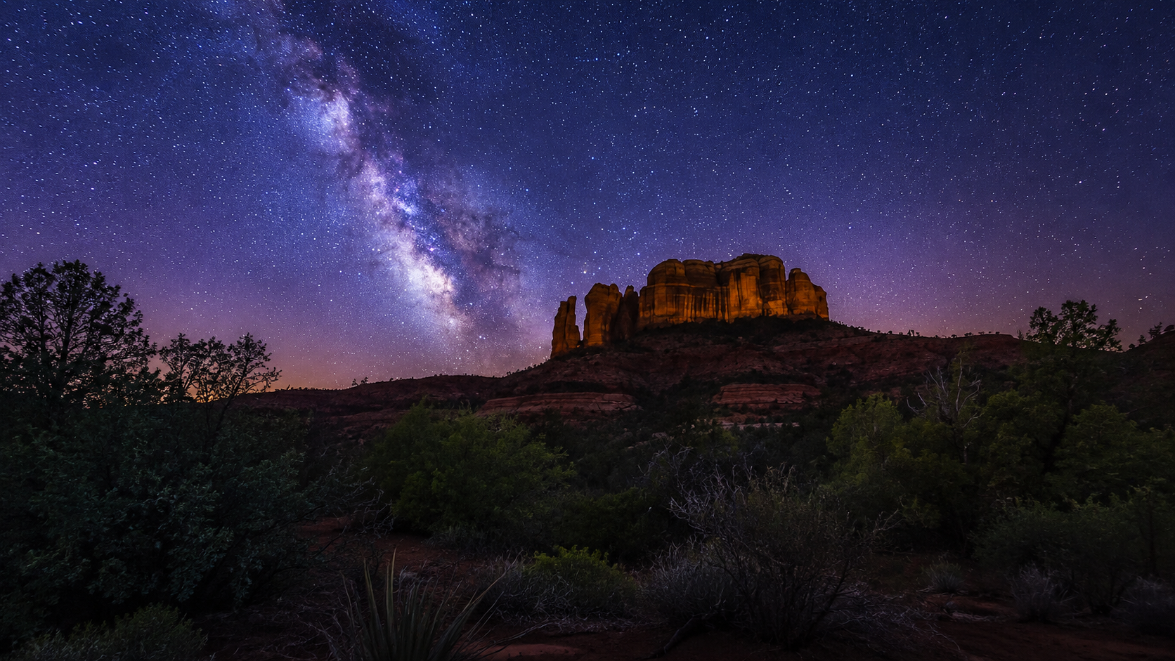 Stargazing in the night sky