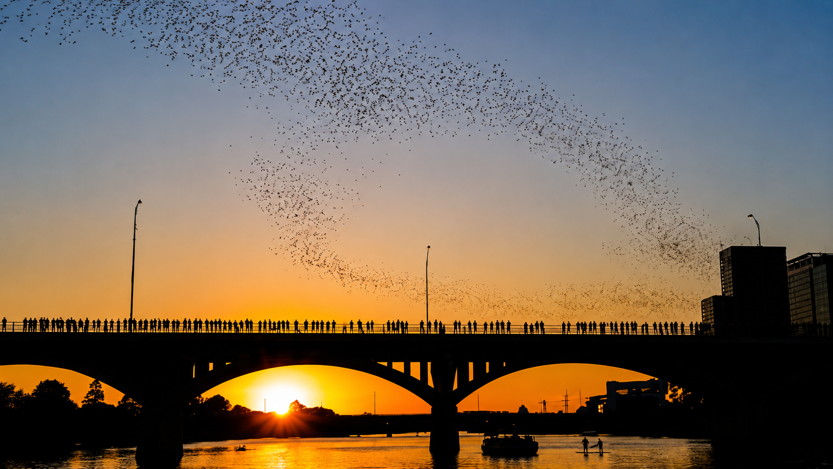See the famous Congress Bridge bats