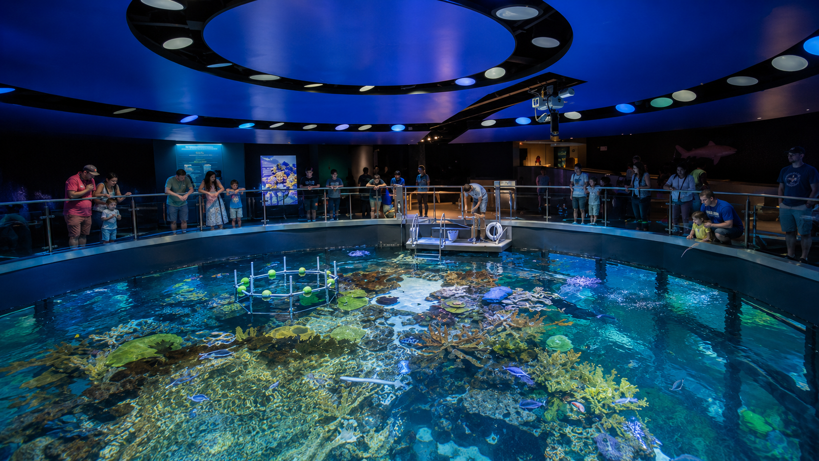 New England Aquarium