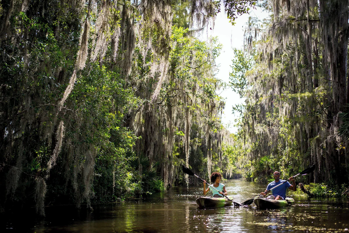 Get our in nature and explore the area