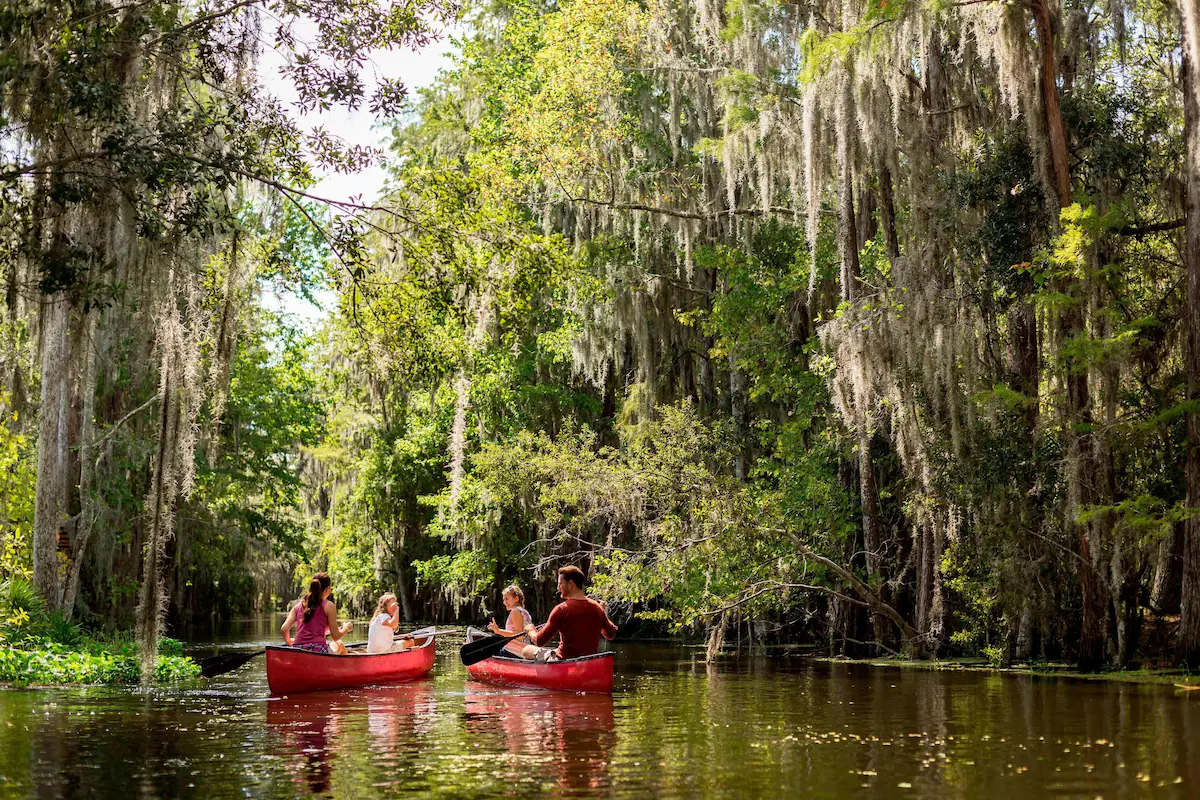 Take a family kayak trip
