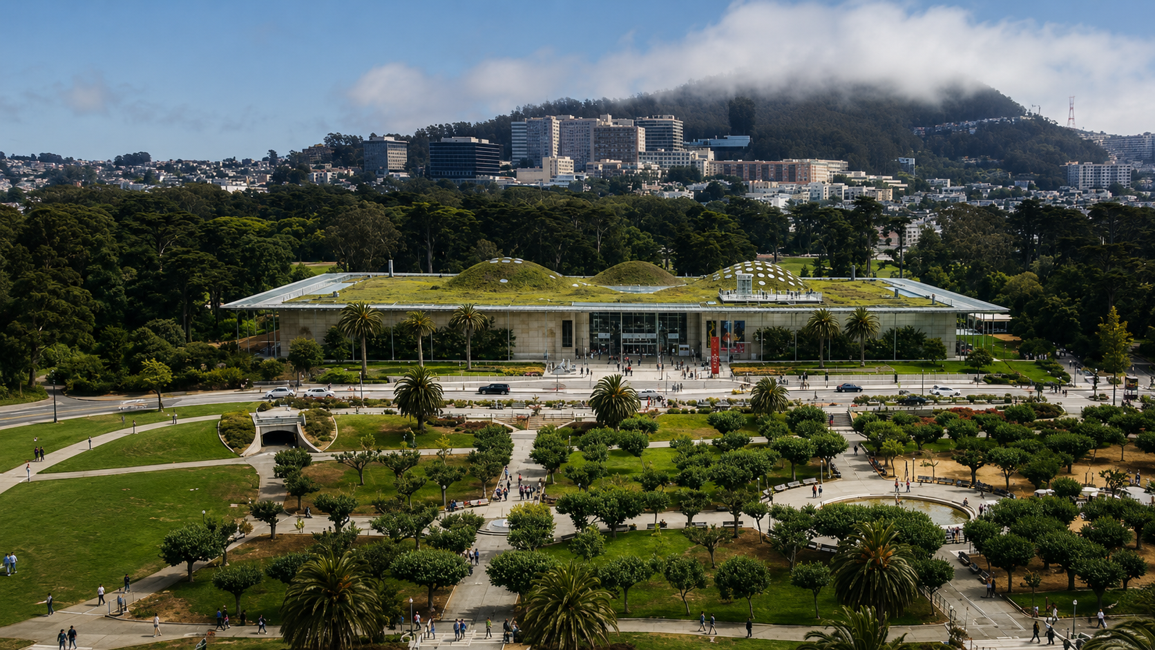 Explore the California Academy of Sciences