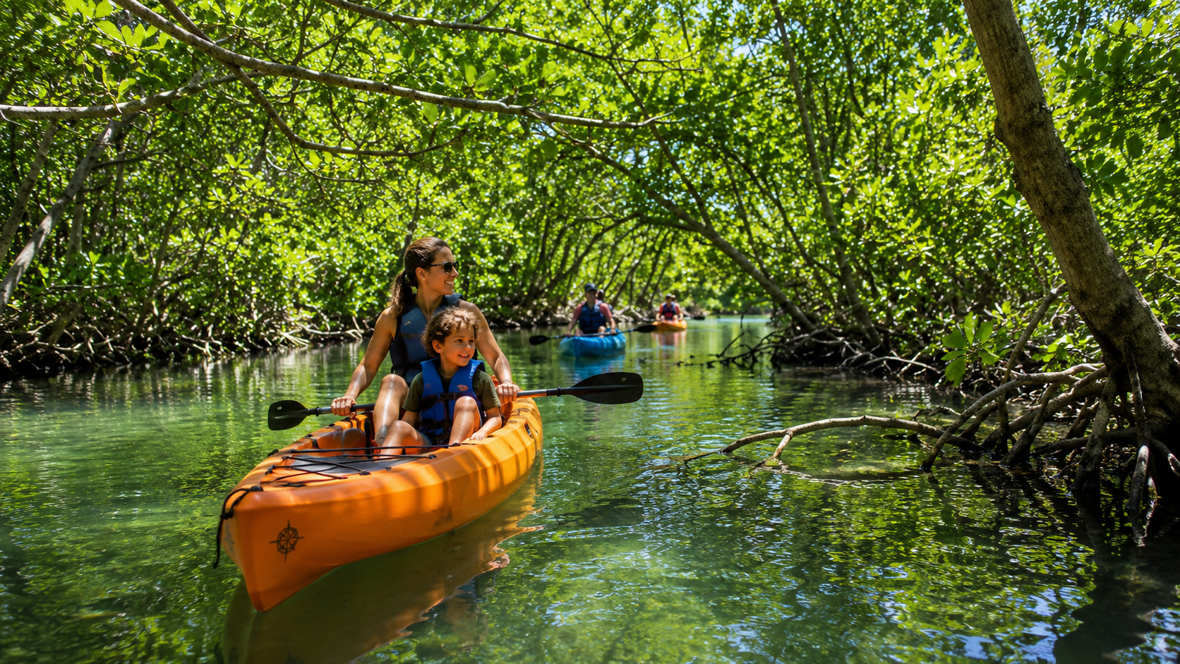 Kayak the mangroves