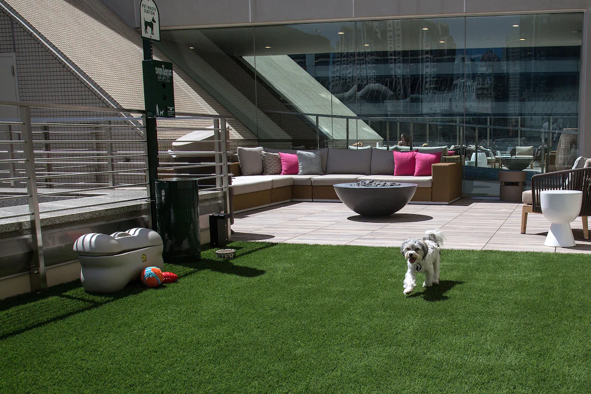 Roof top lounging area