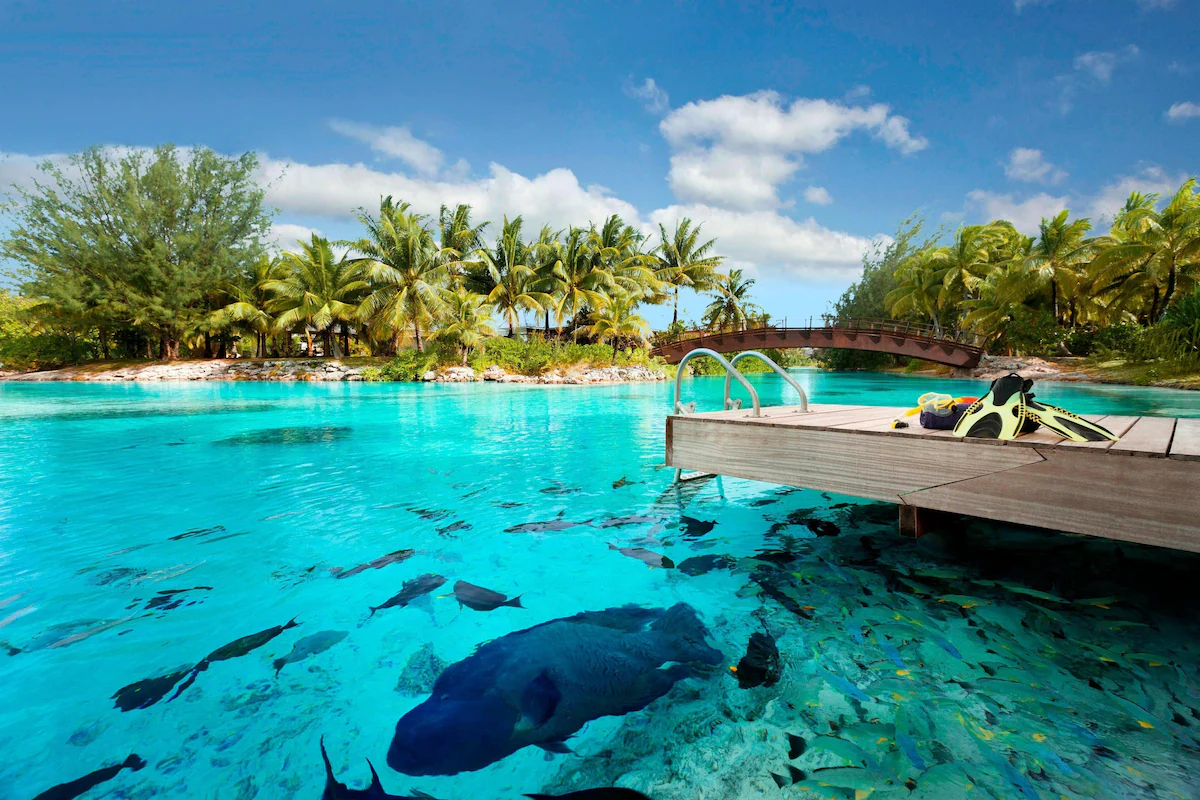 Snorkeling at your finger tips