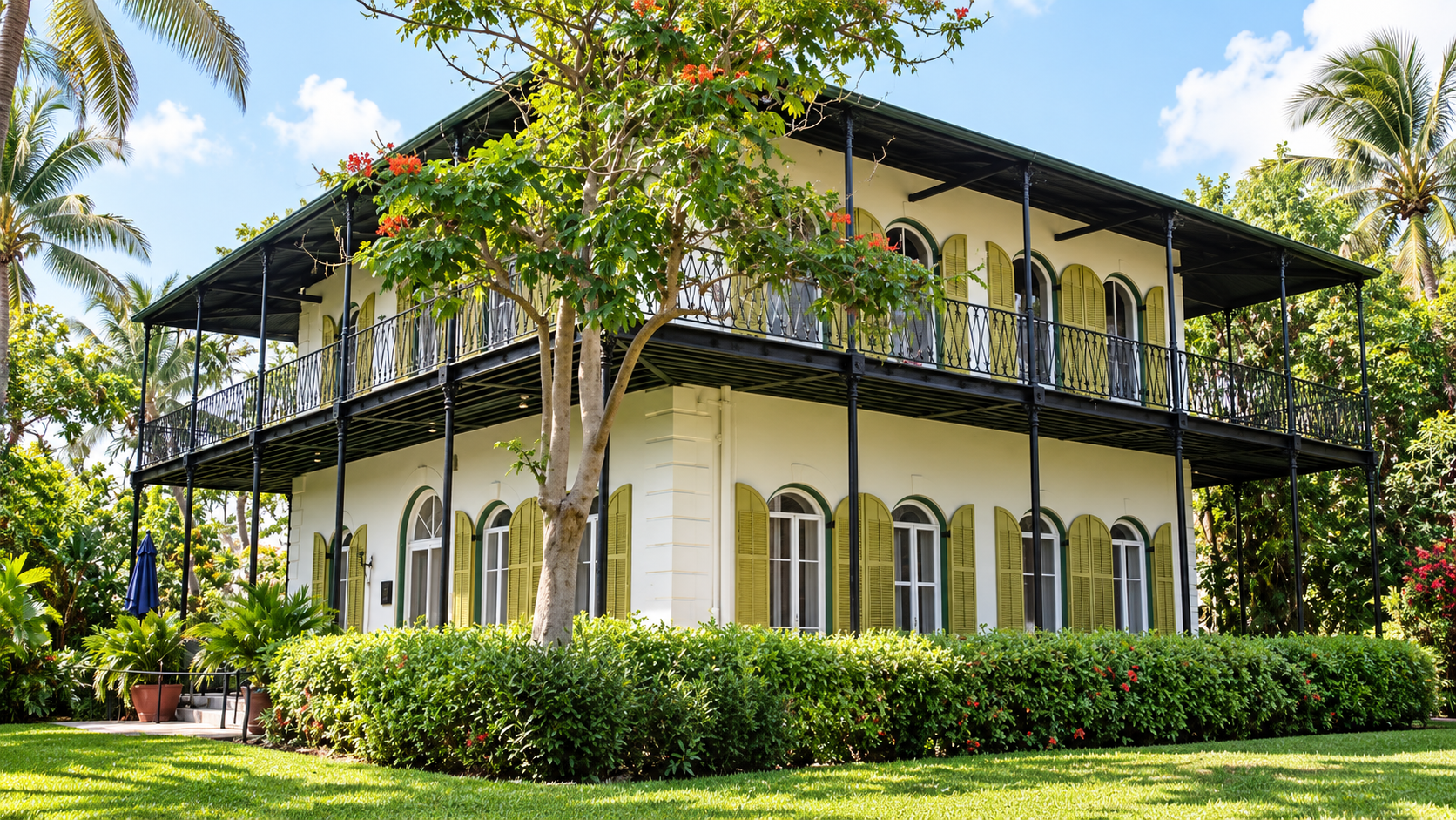 See the 6 toe cats at Hemingway home and museum