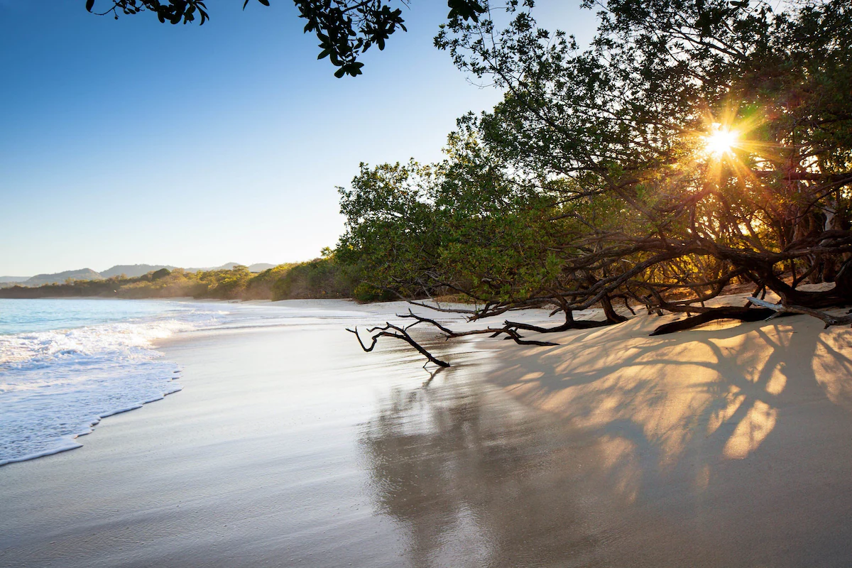 Beach just steps away from your room
