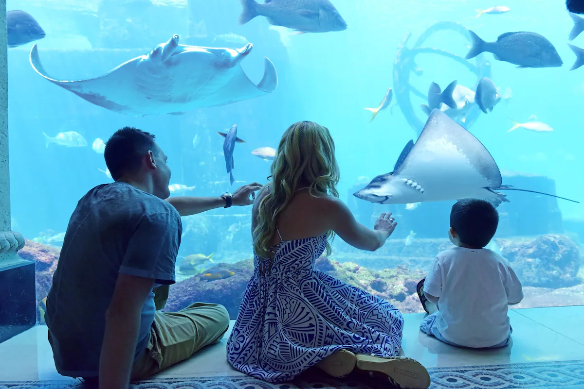 Relax and take in the resort wildlife