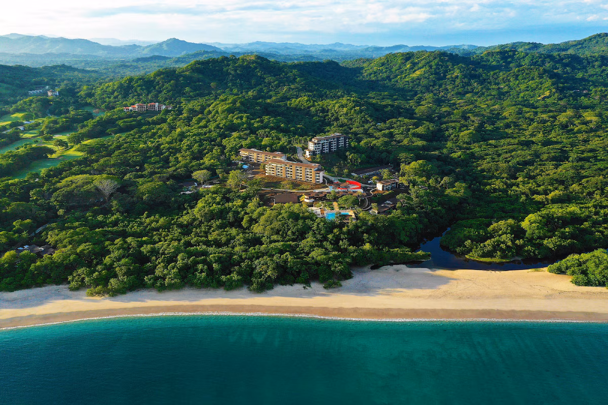 Nestled right in the jungle with amazing views