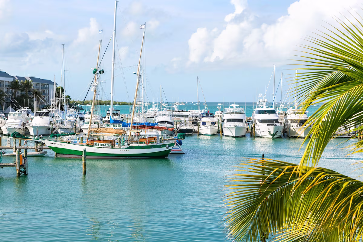 Watch the boats come into the harbor
