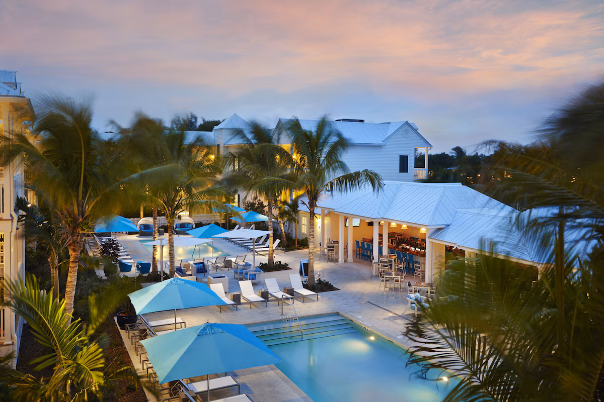 Private pool nestled in the palm trees